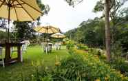 อื่นๆ 4 Hemerocallis Country House