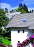 Primary image Apartments Lake Bohinj Medja