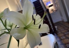 其他 3 St Andrews House Hotel