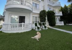 Others 3 Belka Golf Residence