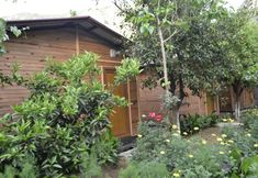 Lainnya 4 Olympos Mercan Bungalow