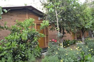 Lainnya 4 Olympos Mercan Bungalow