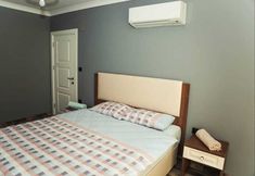 その他 2 Platinium