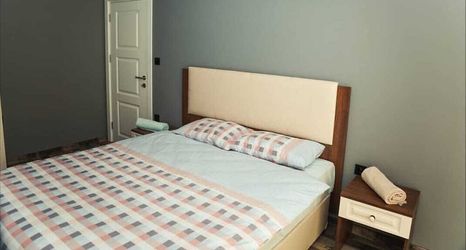 その他 2 Platinium