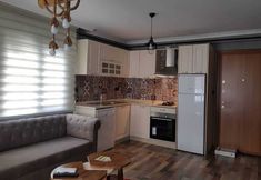 その他 4 Platinium