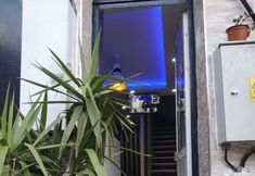 Lain-lain 5 Hotel Petek