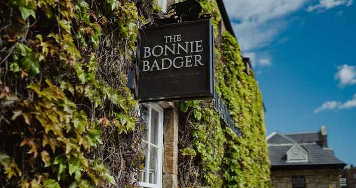 Others The Bonnie Badger