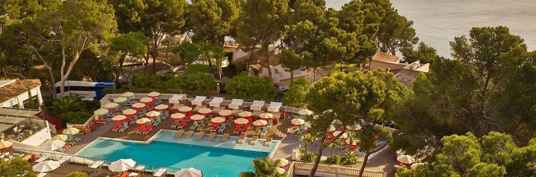 기타 Dreams Calvià Mallorca