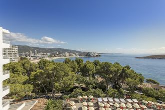 기타 4 Dreams Calvià Mallorca