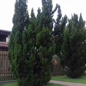 Primary image 1 Casa Temporada Jardim Iguaçu, Tancredo Neves Bridge Hotels