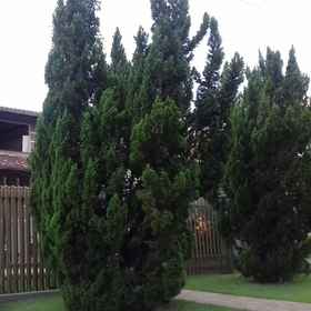 Primary image 1 Casa Temporada Jardim Iguaçu, Three Borders Mark Hotels