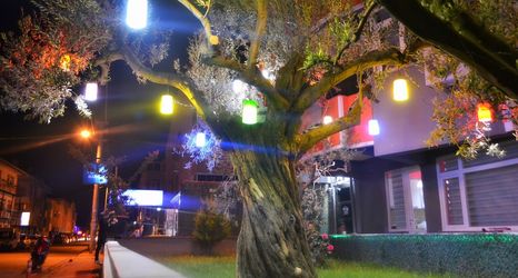 Others 2 Moda Pansiyon - Apart