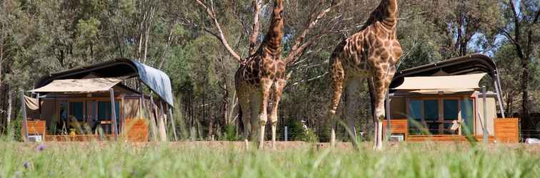 Others Zoofari Lodge at Taronga Western Plains