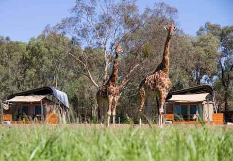 Others Zoofari Lodge at Taronga Western Plains