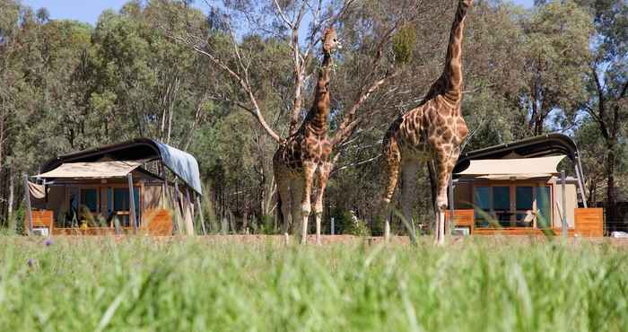 Others Zoofari Lodge at Taronga Western Plains