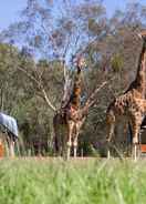 ภาพหลัก Zoofari Lodge at Taronga Western Plains