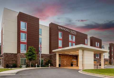 Others SpringHill Suites by Marriott Atlanta Alpharetta/Roswell