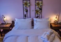 其他 5 Dio Studios