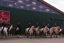 其他 Reiterhof Maack