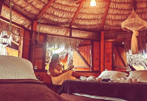 기타 Raiz Kite Cabana