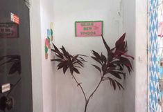 อื่นๆ 3 Prad Residence