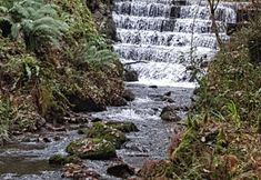 Lain-lain 5 Whortleberry Studio B&B