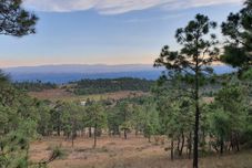 其他 Hacienda del Café