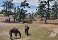 其他 7 Hacienda del Café