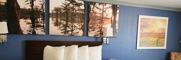 その他 Days Inn by Wyndham Rosenberg