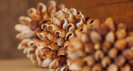 기타 2 Pousada Mariluz