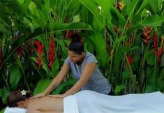 Lain-lain 2 Casa Nativos