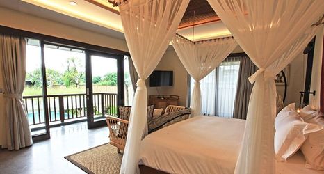 其他 2 Elite Cassia