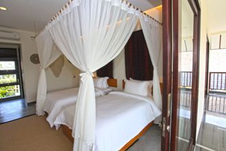 其他 4 Elite Cassia