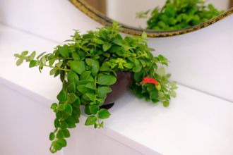 Others 4 Stay In Nha Trang Apartments