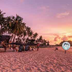 Primary image1納克潘海灘瘋狂猴子青年旅舍 - 僅供成人入住,卡瓦延岛飯店