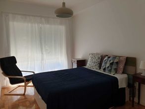 기타 4 Pet Friendly Apartment