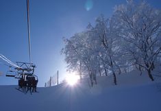 อื่นๆ 7 Alpine Lodge