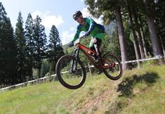 อื่นๆ 6 Alpine Lodge