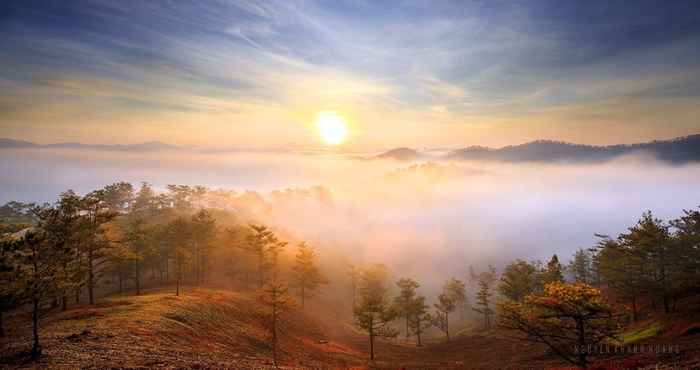 Lain-lain Viet Pho Da Lat Hotel