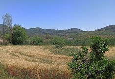 其他 4 Dalaman Airport Guesthouse