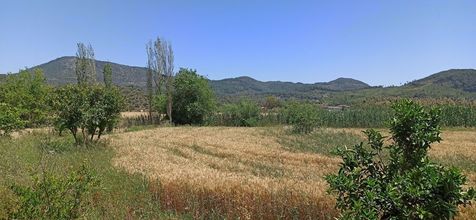 其他 4 Dalaman Airport Guesthouse