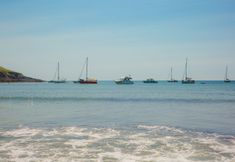 อื่นๆ 5 Blue Monkey