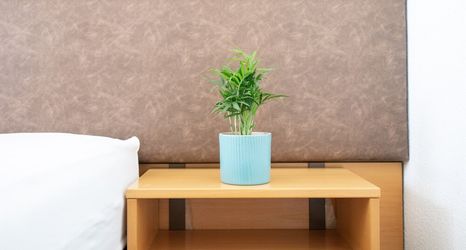 Others 2 Hotel Sonne Schwarzenburg Self Check-in