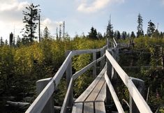 Others 5 Hotel Sonne Schwarzenburg Self Check-in