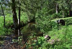 Others 2 Cabin on the Creek