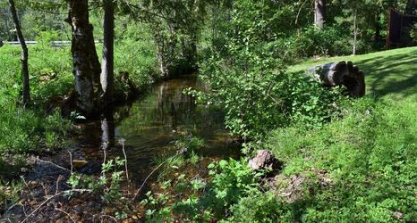Others 2 Cabin on the Creek