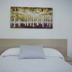 Primary image 1 迪利亚青年旅舍, 托雷阿拉乌林 酒店