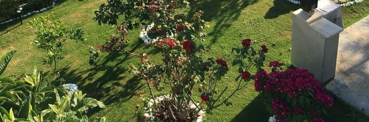 其他 BO055 by Villaofsummer