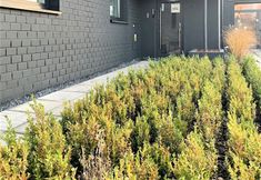 Others 7 Wygodne Pokoje H114