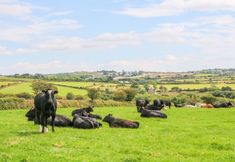 Others 2 The Old Cows House